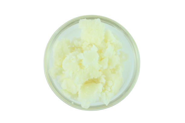 Mango Butter - Organic