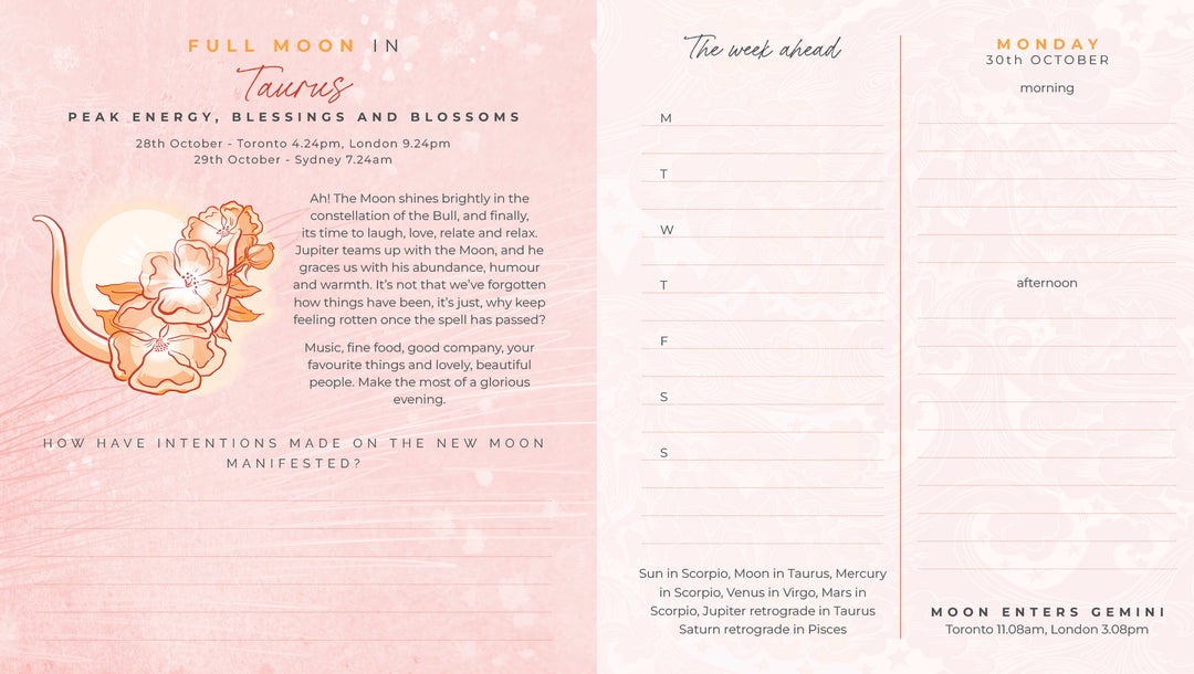 2023/2024 Astro Diary by Giving Thanks
