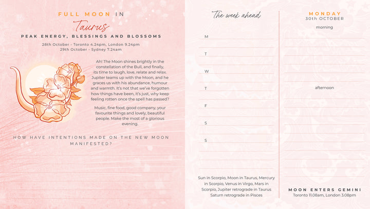 2023/2024 Astro Diary by Giving Thanks