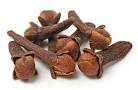 Essential Oil Clove Bud  (syzgium aromaticum)