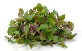 Essential oil Spearmint (Mentha Spicata)